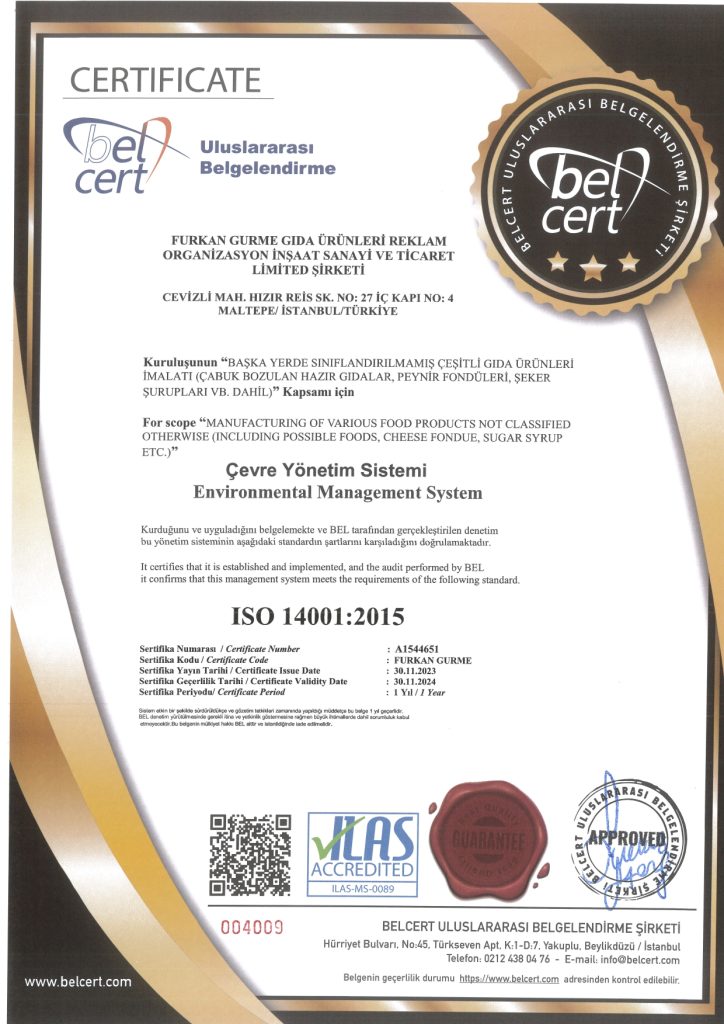 ISO ve CE Belgesi_page-0002